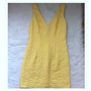 Lilly Pulitzer The Madden  dress